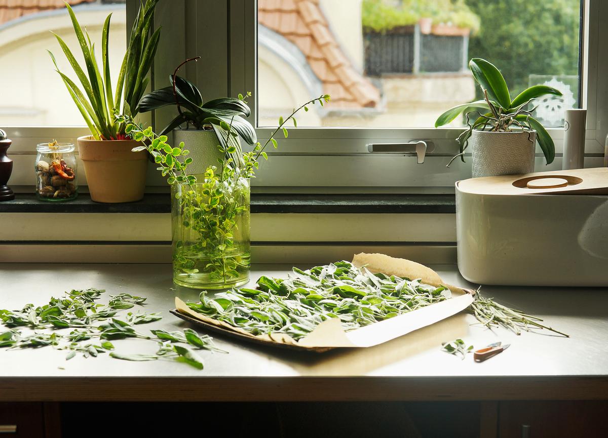 How to Grow Herbs All Summer Long