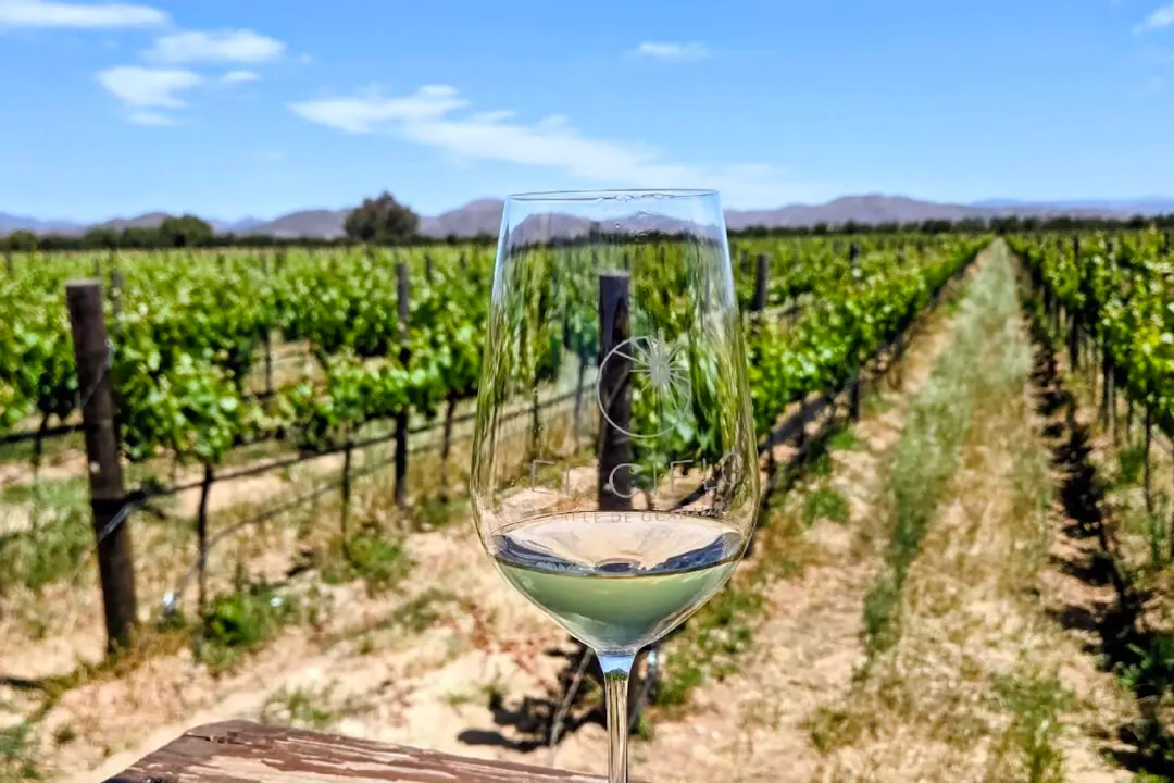 Days of Wine and Raptors at Mexico’s El Cielo Resort and Winery