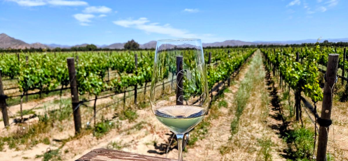 Days of Wine and Raptors at Mexico’s El Cielo Resort and Winery