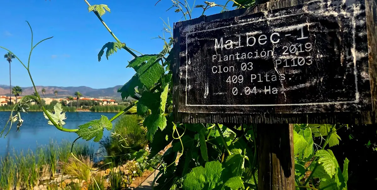 Relax at El Cielo Resort and Winery in Mexico’s Valle de Guadalupe