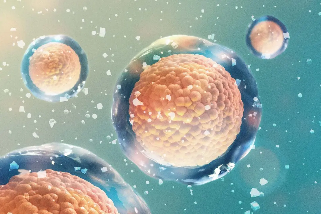 How Mineral Deficiencies Can Lead to Fatigue and Brain Fog
