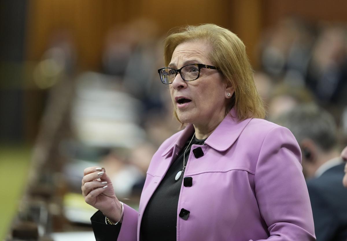 Minister Says ‘Something’ Happened to Trigger Order to Surrender Citizenship Docs