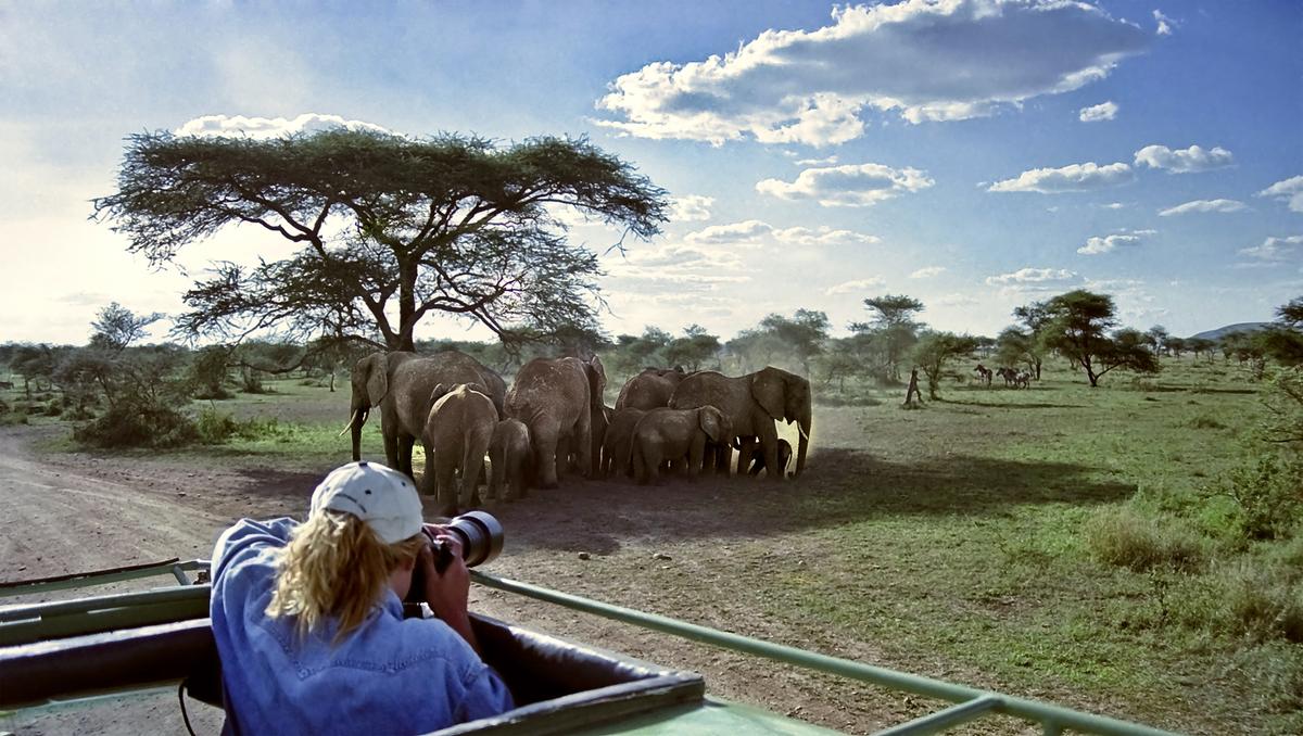 Solo Travel Soars: Record-Breaking Interest Levels Reported for 2026