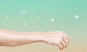 12 Things That May Make You a Mosquito Magnet