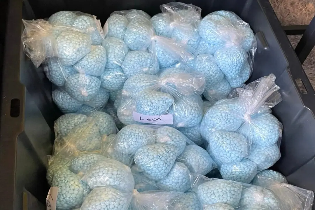 DEA Seeks Independent Review After Claims Agents Allowed Entry of Fentanyl