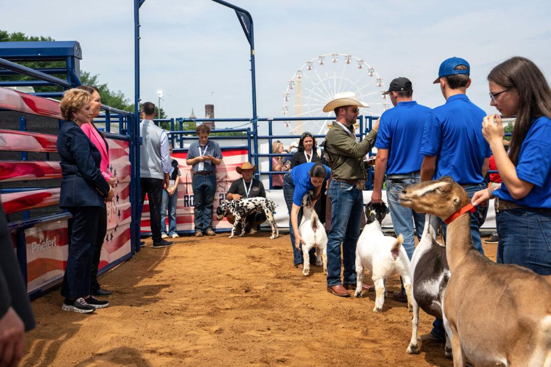 WASHINGTON, DC - JUNE 26: Secretary of Education Linda McMahon (L) and Secretary of Agriculture Brooke Rollins (R) oversee an agricultural exhibit by members of the Future Farmers of America at The Great American State Fair on June 26, 2026 in Washington, DC. The Freedom 250-backed Great American State Fair celebrating the 250th anniversary of the United States runs through July 10th. (Photo by Andrew Leyden/Getty Images)