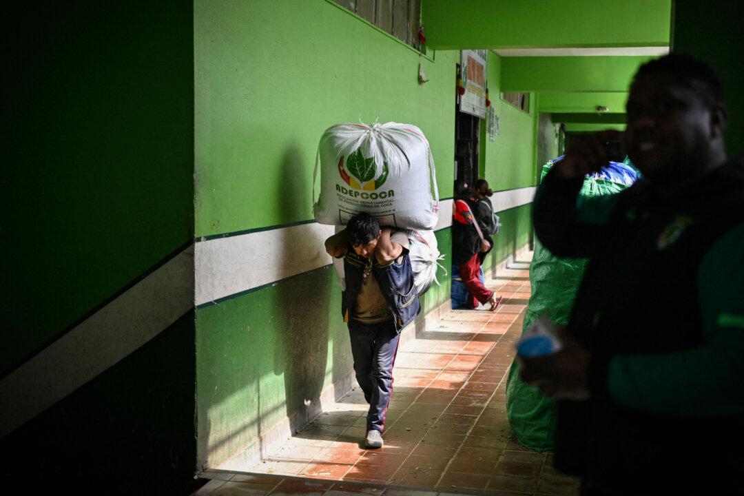 A worker carries sacks of coca leaves at the legal coca market in La Paz, on June 26, 2026. (Photo by MARTIN BERNETTI / AFP via Getty Images)