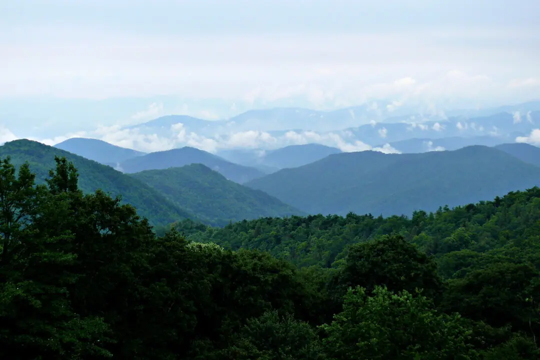 Appalachian Awakening: Rewriting American Music Culture