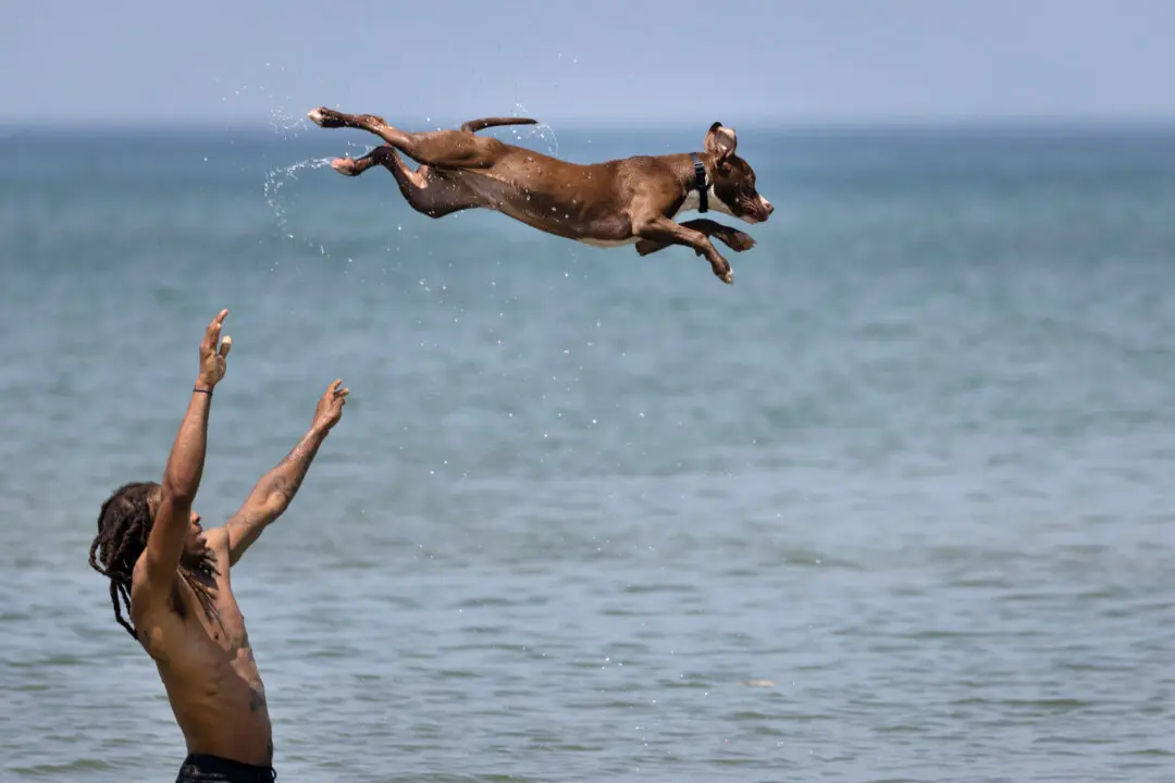 In Photos: Extreme Heat Wave Hits the US