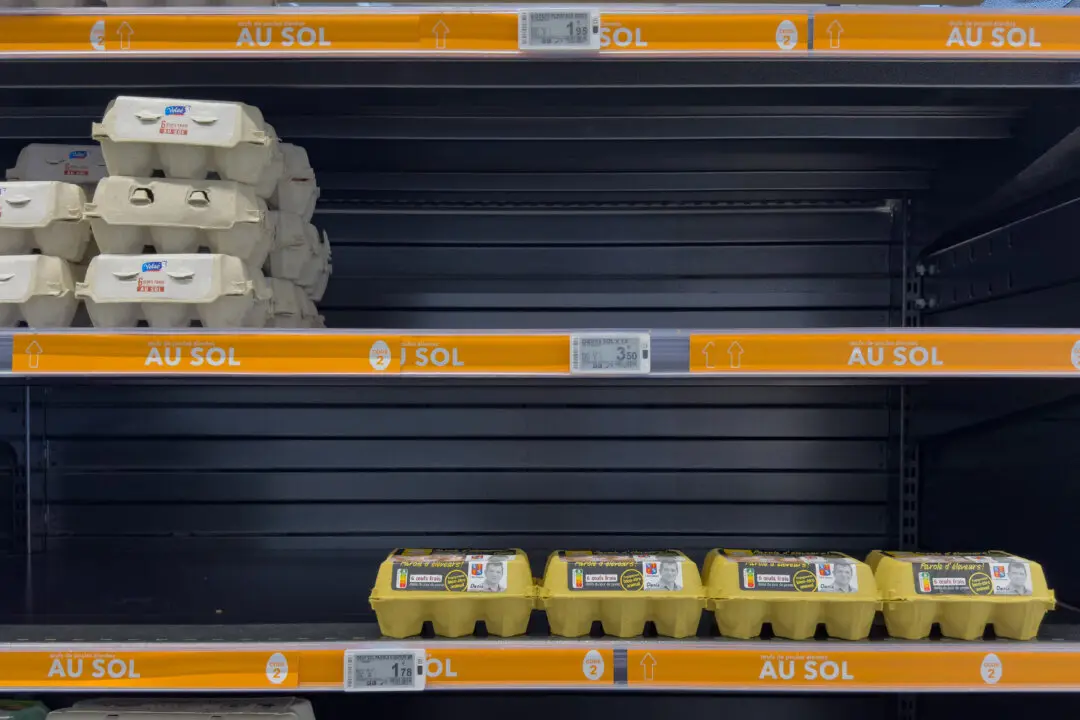 NSW Authorities Warn Against Egg Panic Buying as Bird Flu Spreads to the State