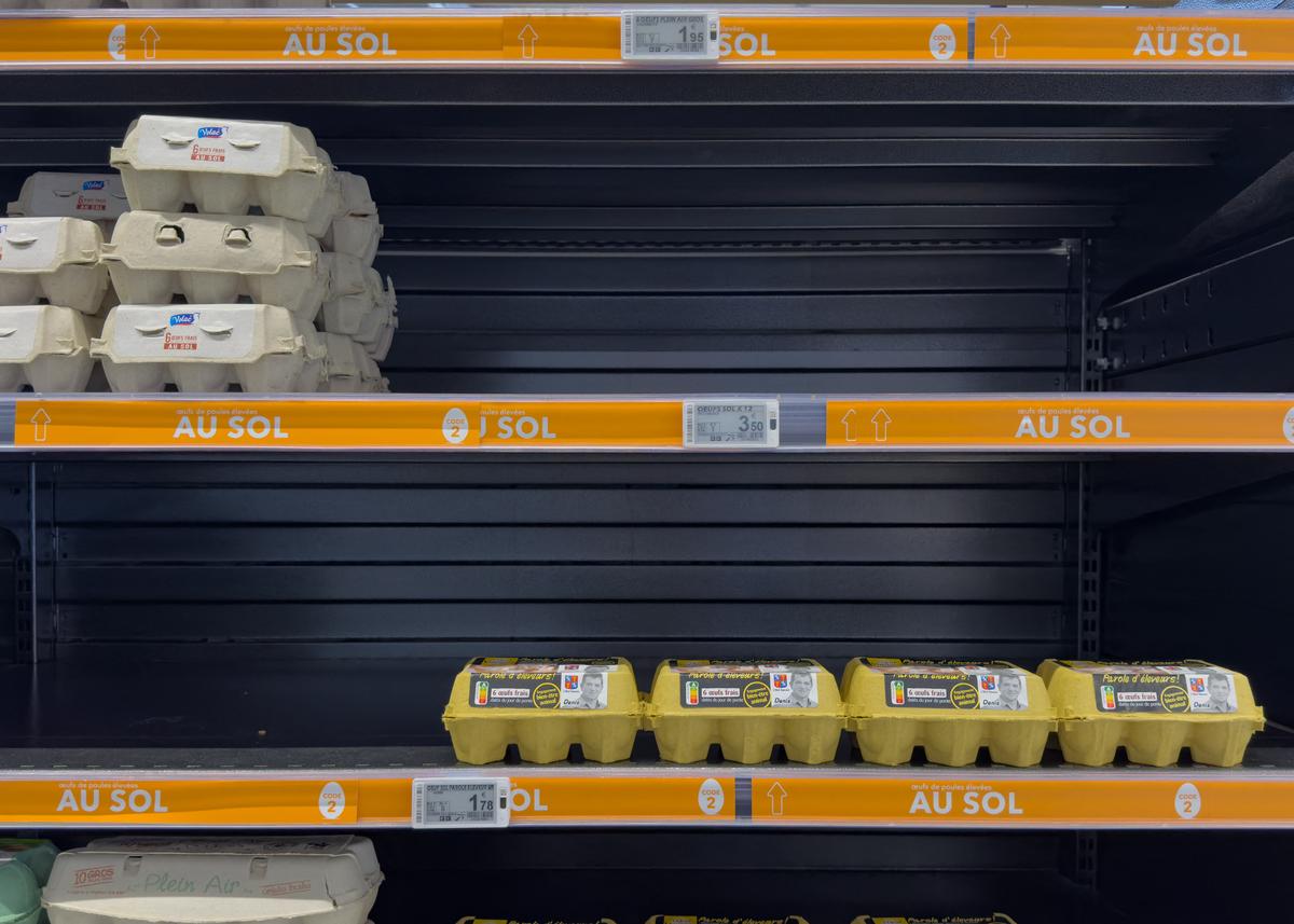 NSW Authorities Warn Against Egg Panic Buying as Bird Flu Spreads to the State