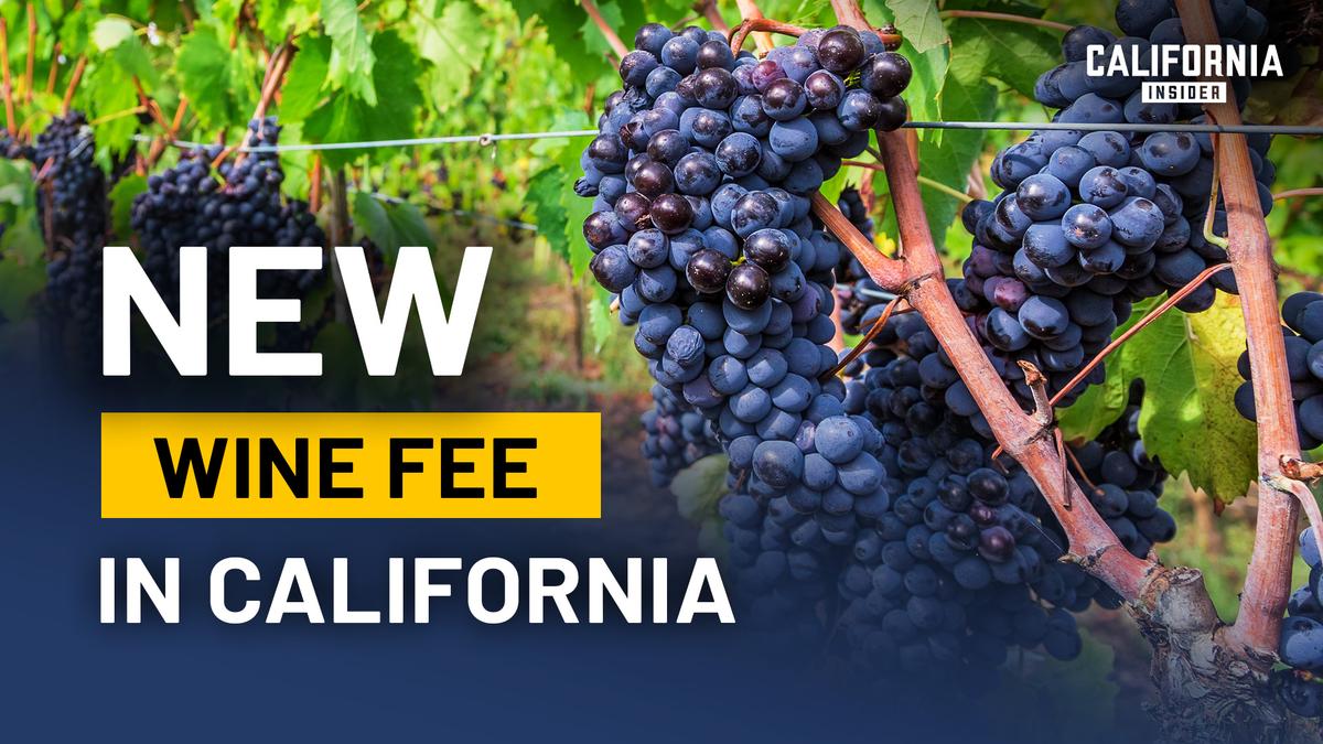 This California Winemaker Says Mandatory Membership Fees Could Reach Any Industry | Kate Griffith