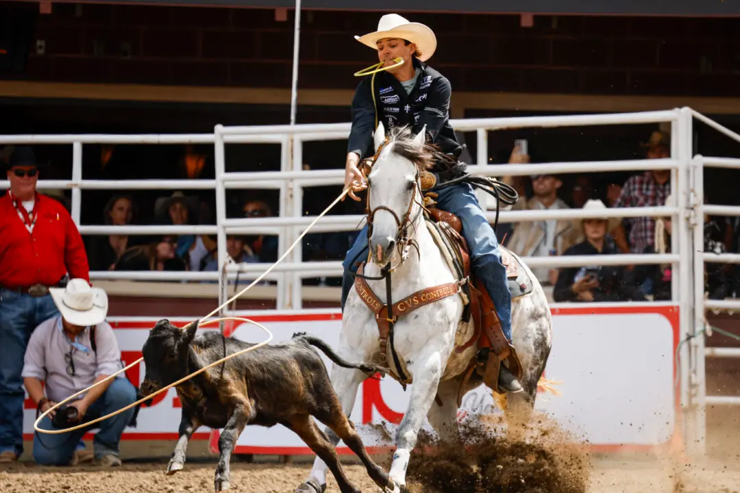 Calgary Receives 275 Stampede Noise Complaints Under New Event Sound Rules
