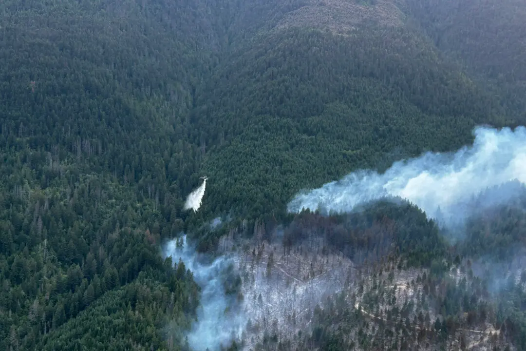 A First Nation Near Boston Bar, BC, Issues Evacuation Order as Wildfire Grows