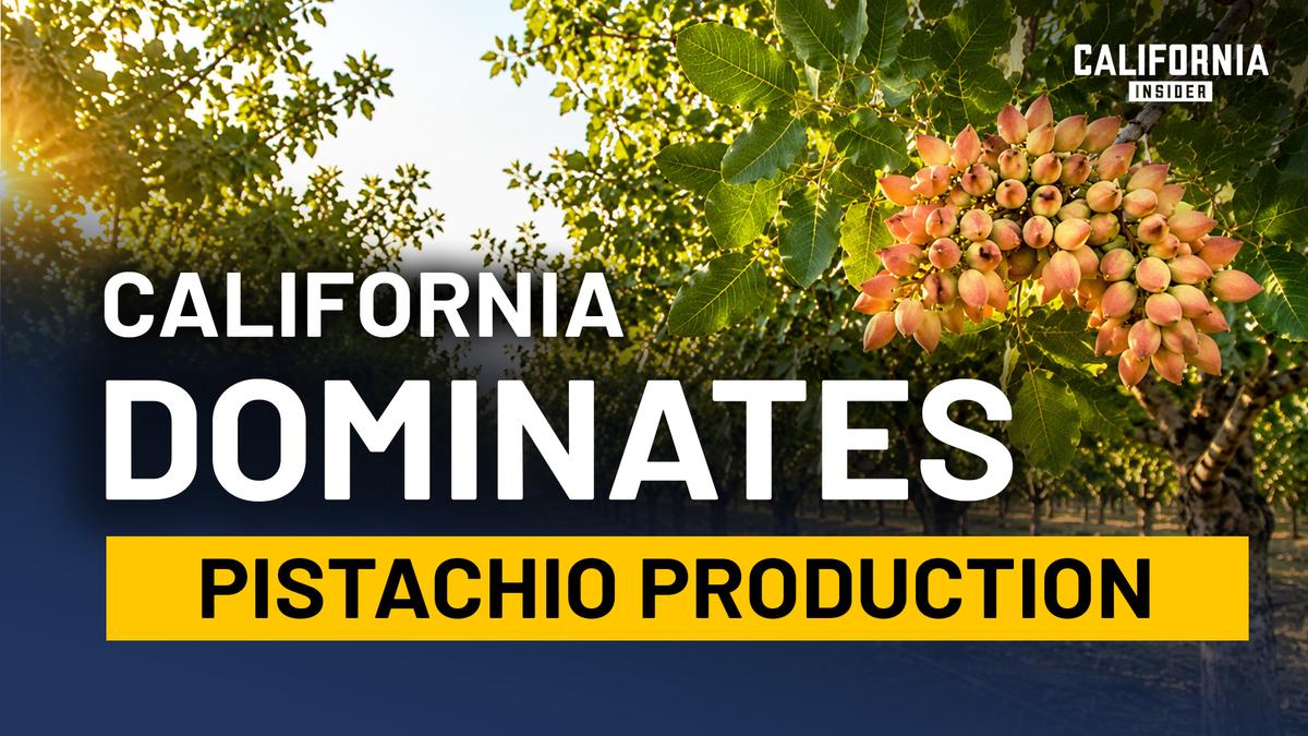A Farming Takeover Happened in California. Most Residents Never Noticed | Tom Coleman