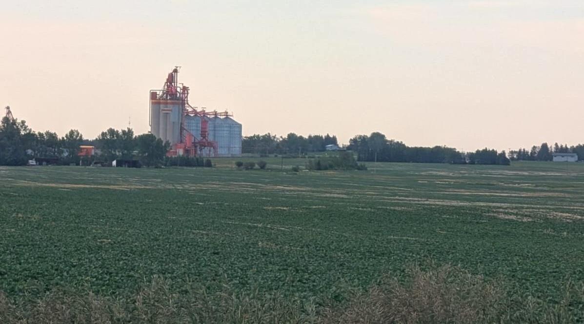 Part of the land parcel for Synapse's proposed AI data centre campus in Olds, Alta. (Paul Rowan Brian/The Epoch Times)