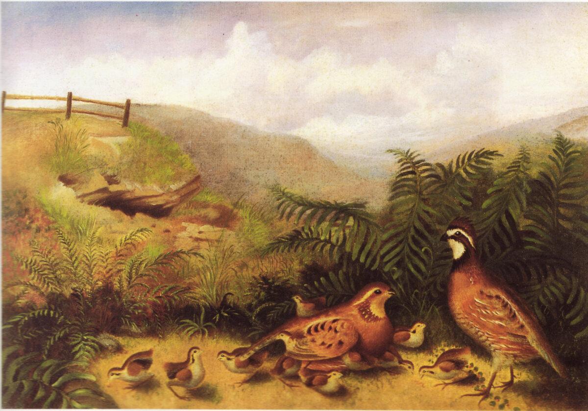 “Landscape With Quail, Cock, Hen, and Chickens,” date unknown, by Rubens Peale. (Public Domain)