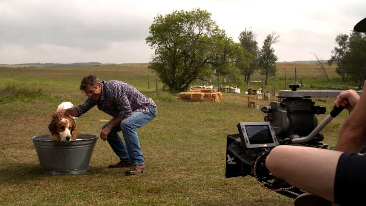 Dennis Quaid on the set of “A Dog’s Purpose.” (Universal Pictures)