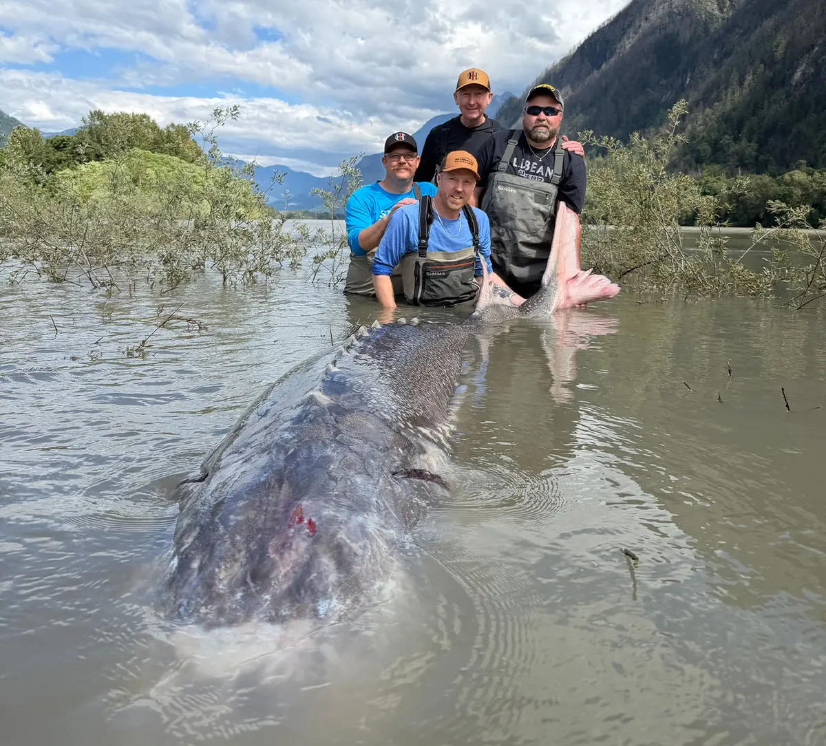Kevin Estrada's clients pose with the giant sturgeon they reeled in on June 4, 2026. (Courtesy of Sturgeon Slayers)