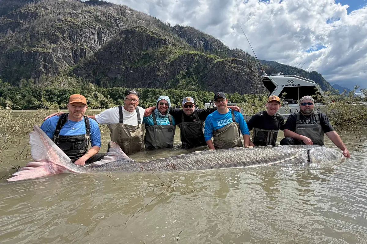 (L-R) Elvis Penton, Ryan Hunden, Joe Verbeek, Carter Kowal, Travis Meiklejohn, Anders Sorensen, and Shawn North pose with the record-sized sturgeon caught in the Fraser River on June 4, 2026. (Courtesy of Sturgeon Slayers)