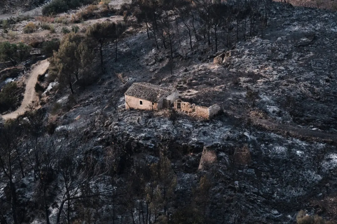 Hundreds of Firefighters Battle Wildfire in Southern Spain That Killed at Least 12