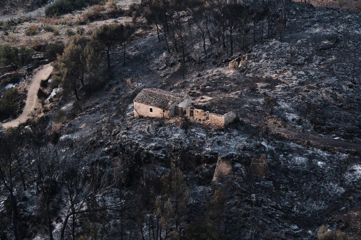 Hundreds of Firefighters Battle Wildfire in Southern Spain That Killed at Least 12