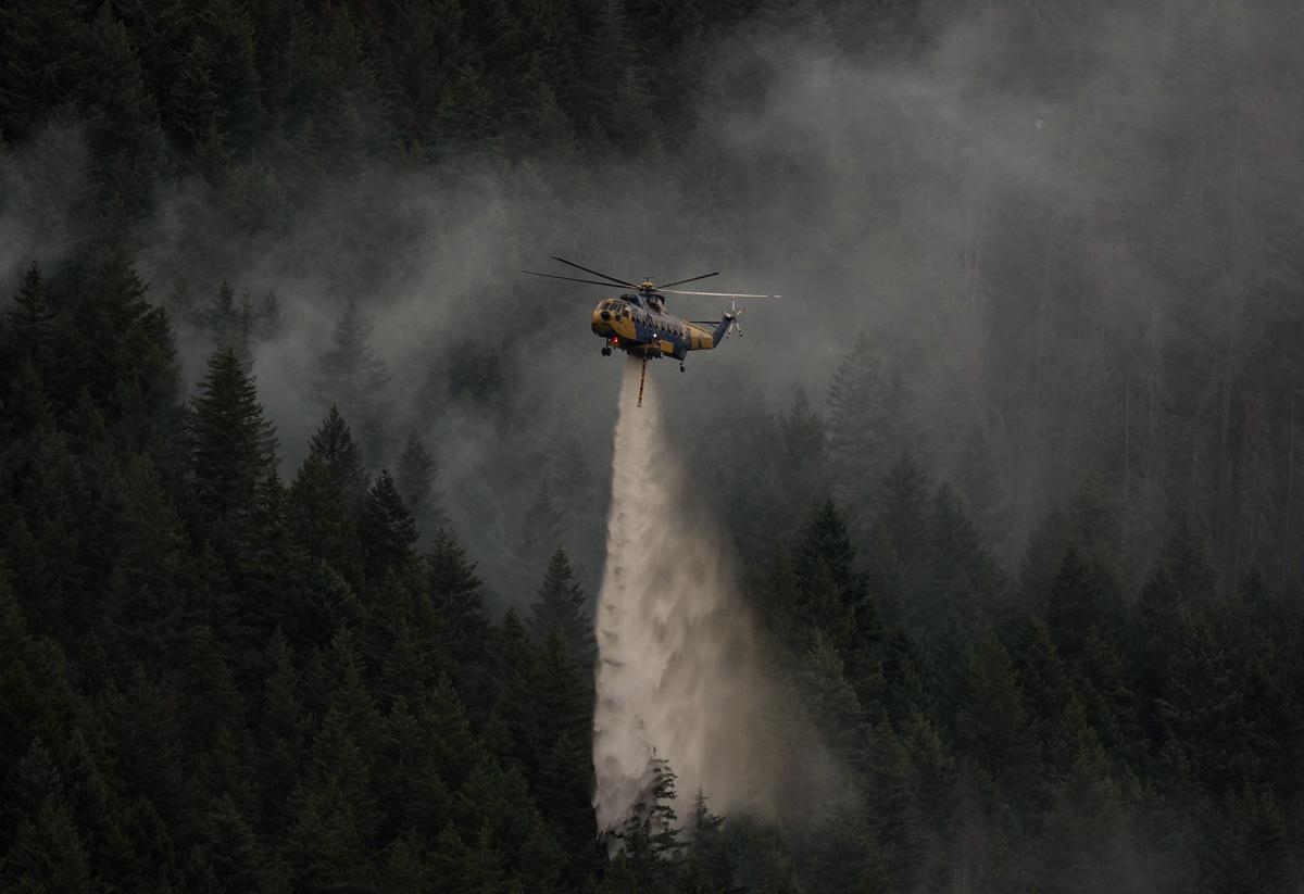 Visitor Fought BC Wildfire With Frying Pan. but It Became an Inferno