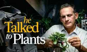 Do Plants Have Minds?