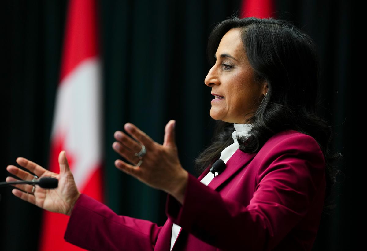 Anand Offers Brazil $125M in Energy Financing, Seals Wildfire Pact Amid Trade Talks