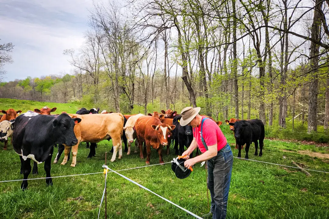 The False Choice Facing American Agriculture
