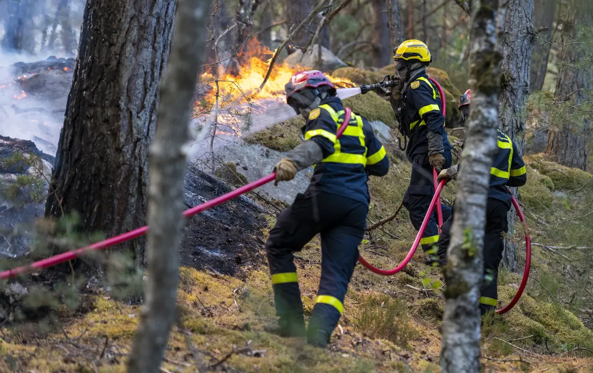 French firefighters battle the blaze in the Forest of Fontainebleau, north-central France. (Franck Desprez/Courtesy of the Seine-et-Marne Fire and Rescue Service)