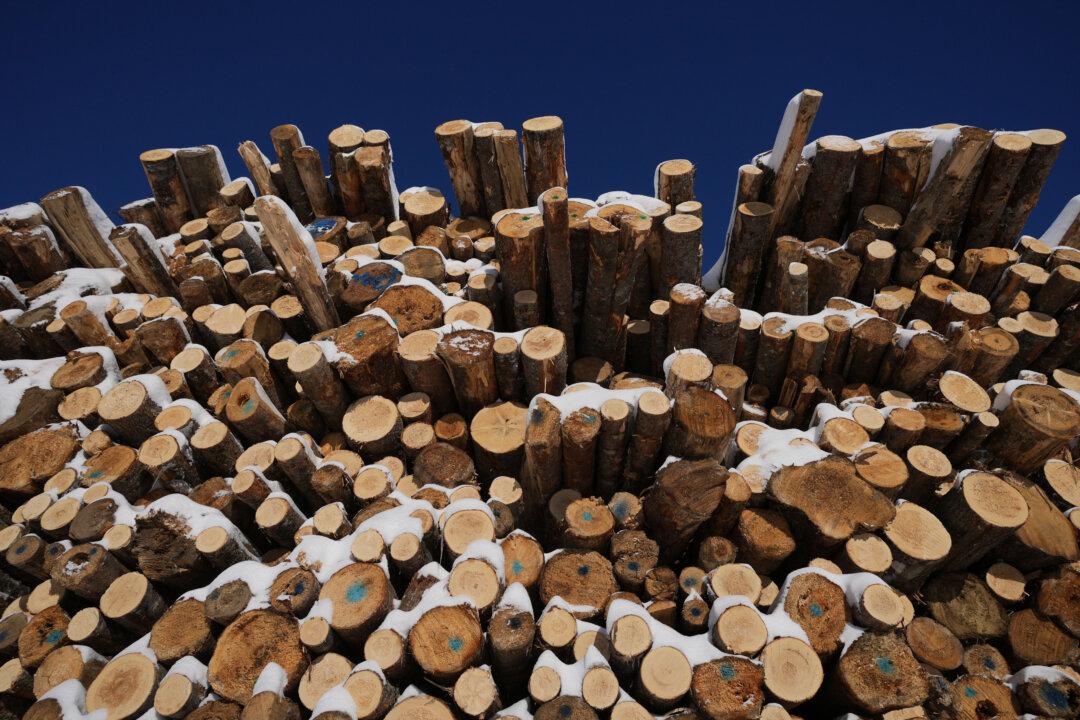 Saskatchewan Sawmill Curtailing Operations, 117 Employees Affected