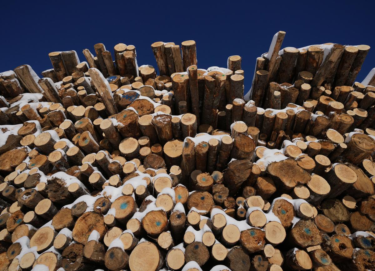 Saskatchewan Sawmill Curtailing Operations, 117 Employees Affected