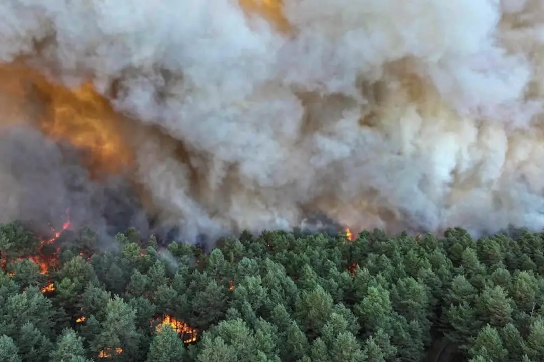 Fire in Forest of French Kings: The Battle to Save Fontainebleau