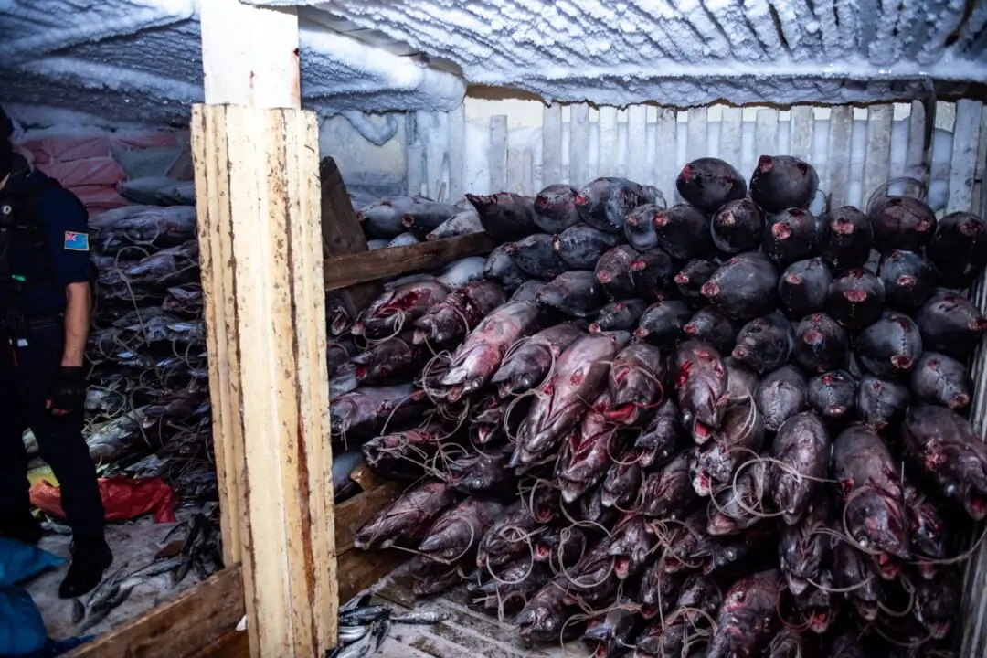 ‘Going Dark’: The High-Tech Tricks Behind Illegal Chinese Fishing in the Pacific