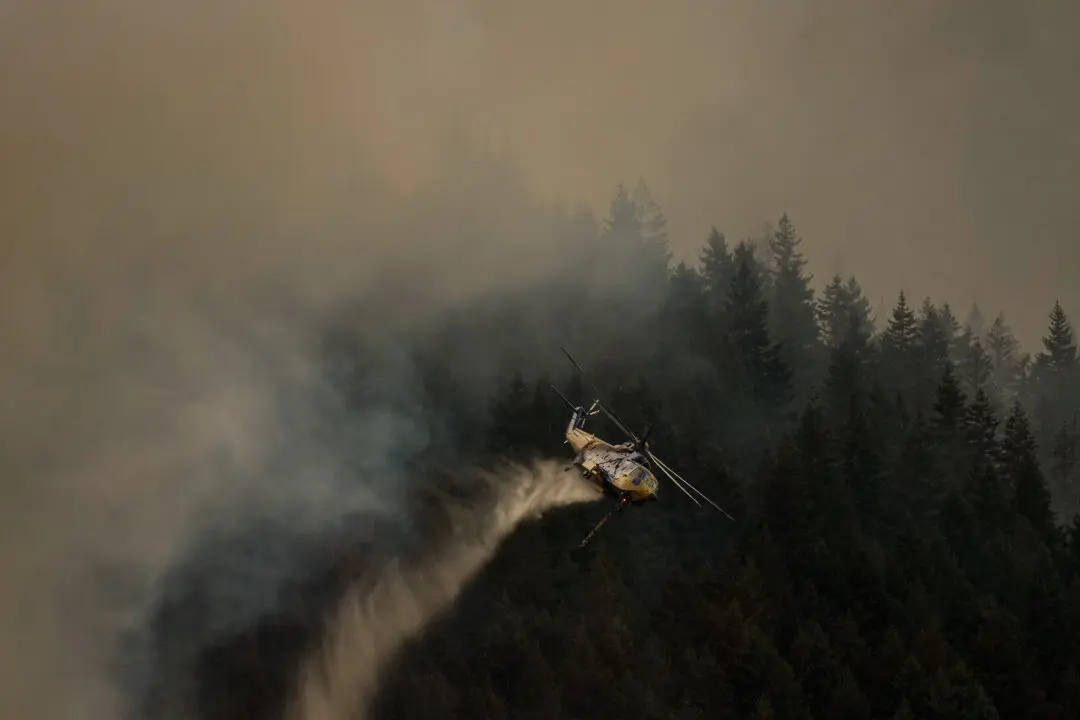 Boston Bar Blaze Destroys More Homes as BC Wildfire Numbers Spike