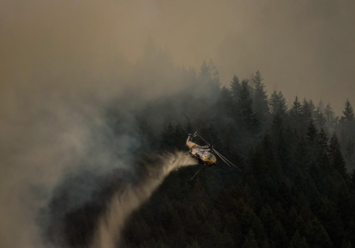 Boston Bar Blaze Destroys More Homes as BC Wildfire Numbers Spike