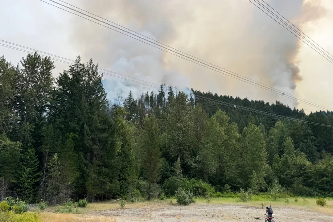 Fire Near Pemberton, BC Is Now Being Held, but Smoke on the Way