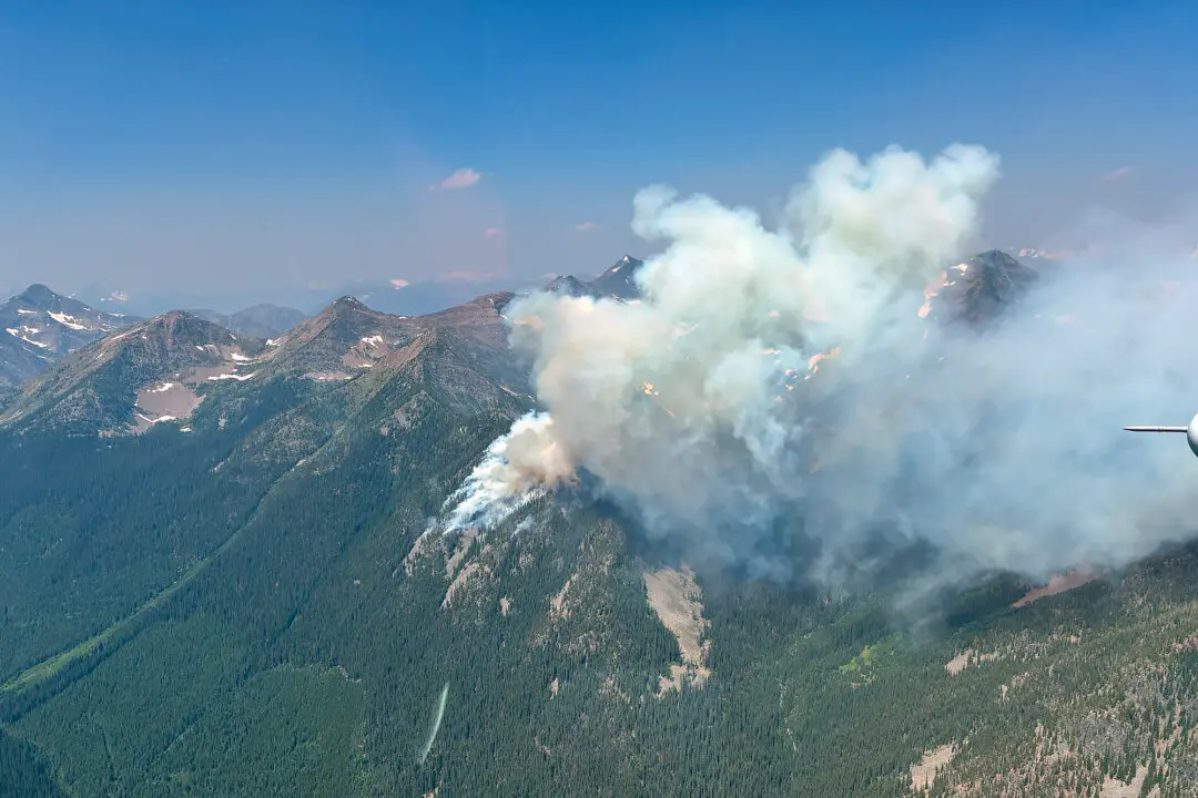 Wildfire Triggers Evacuation Alert for More Than 8,000 in Kimberley, BC
