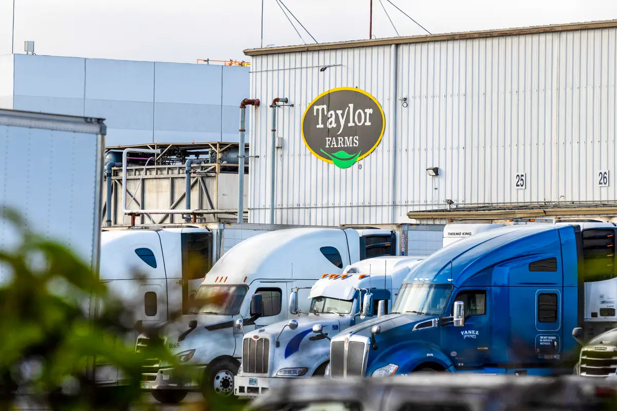 FDA Keeps Taylor Farms Lettuce at Center of Cyclospora Probe Despite False-Positive Result
