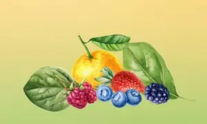 Low Vitamin C Linked to Reduced Brain Volume, Study Finds