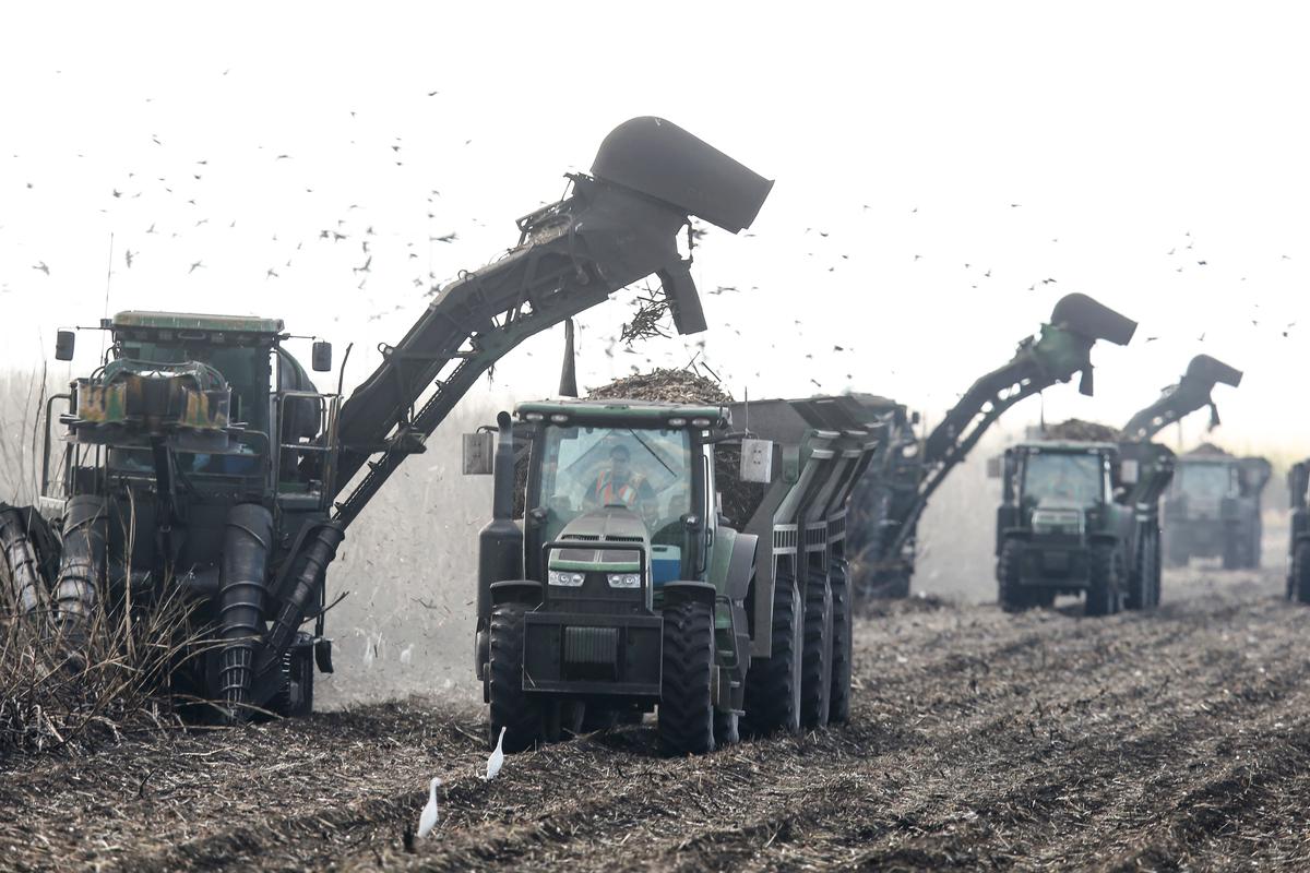 US Sets 2027 Sugar Import Quotas Under WTO Commitments