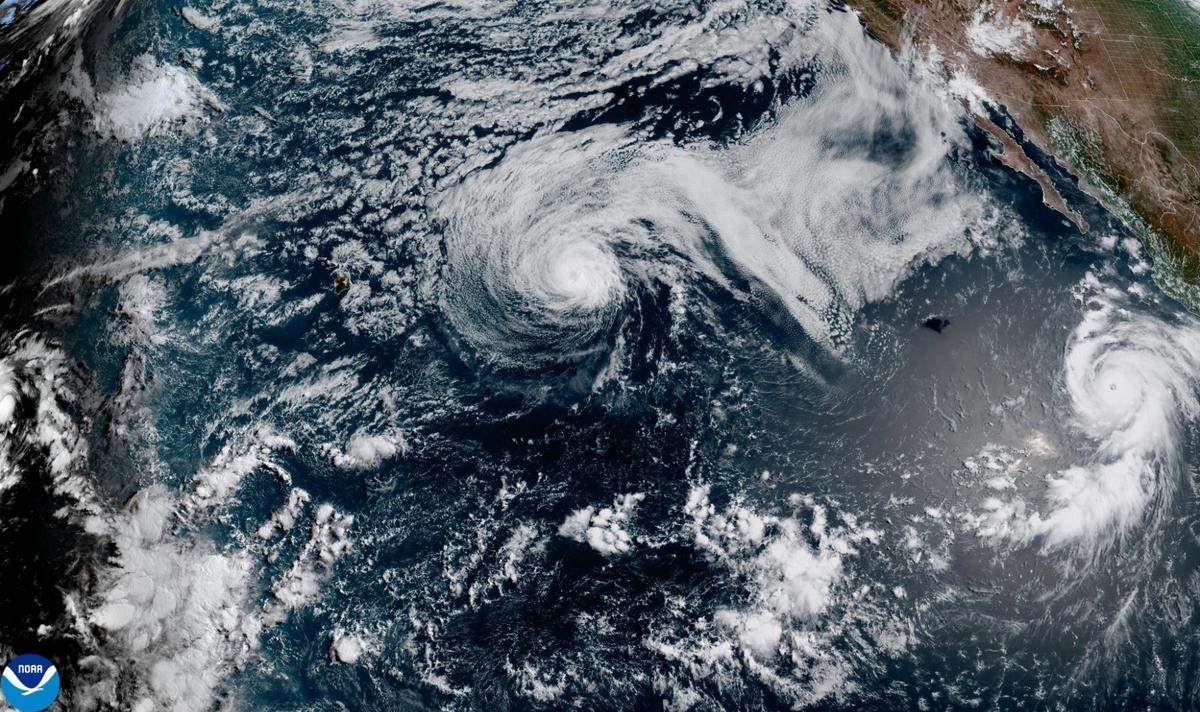 Genevieve Becomes a Major Pacific Hurricane Off Mexico, but No Direct Threat to Land Is Forecast