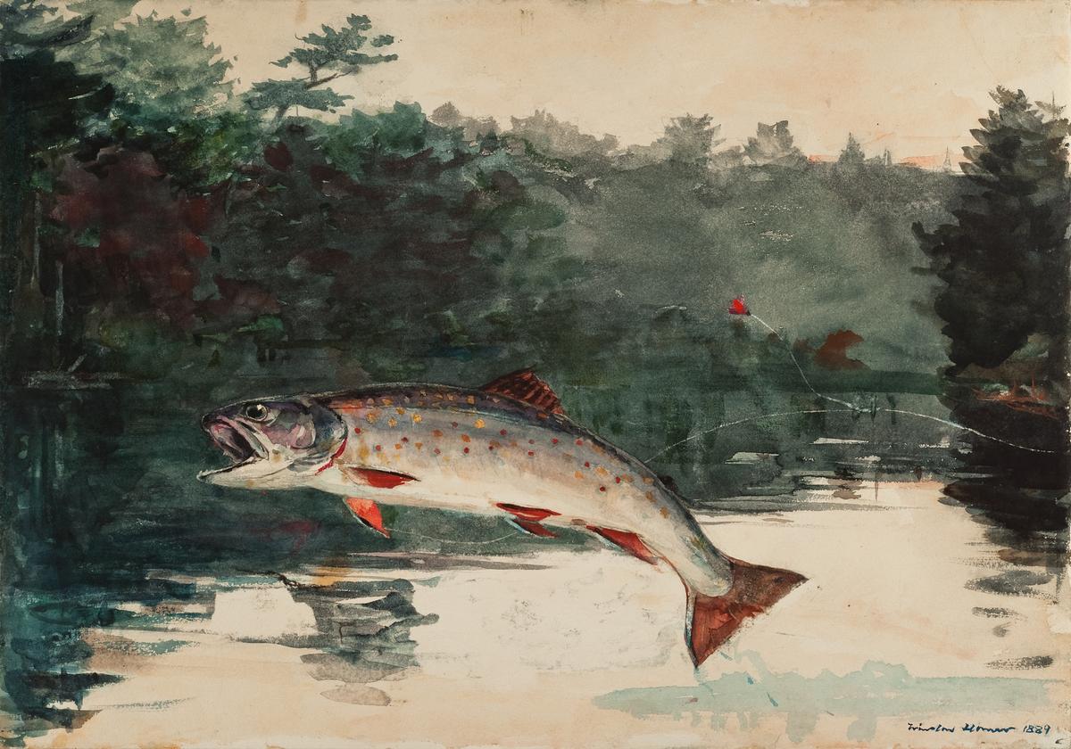 "Leaping Trout," 1889, by Winslow Homer. Watercolor on paper; 14 1/16 inches by 20 1/16 inches. Portland Museum of Art, Maine. (Courtesy Meyersphoto.com)