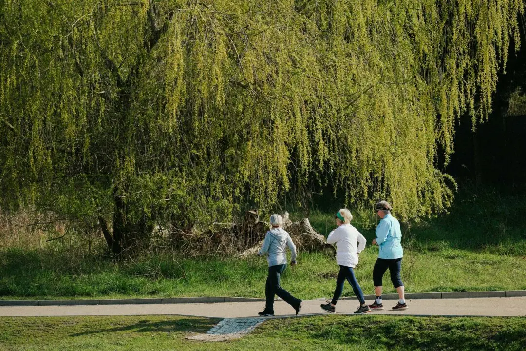 Before Memory Fades, Your Walk May Reveal 5 Hidden Brain Disorders