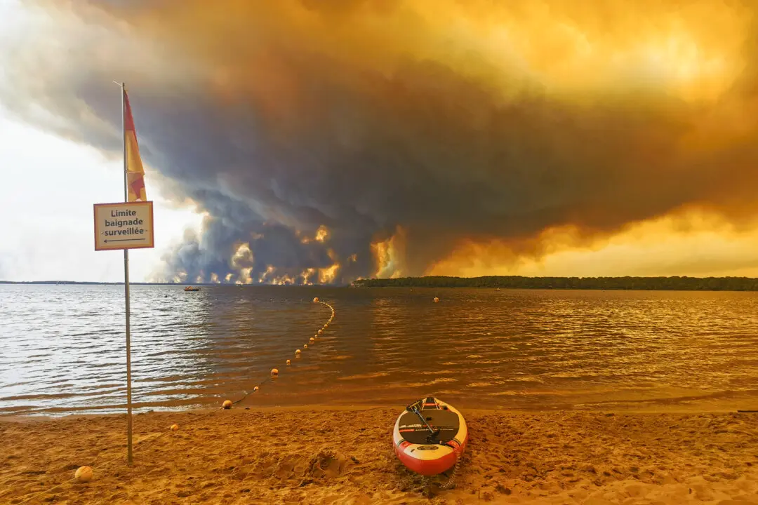 Rare ‘Fire Cloud’ Over French Wildfire Ignites New Blazes With Its Own Lightning