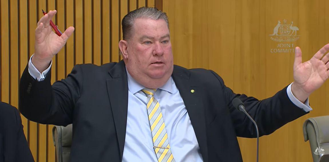 Senator Scott Buchholz during his questioning of Services Australia officials on the aged pension at the Joint Committee on Public Accounts and Audit. (Screen capture from Senate inquiry livestream)