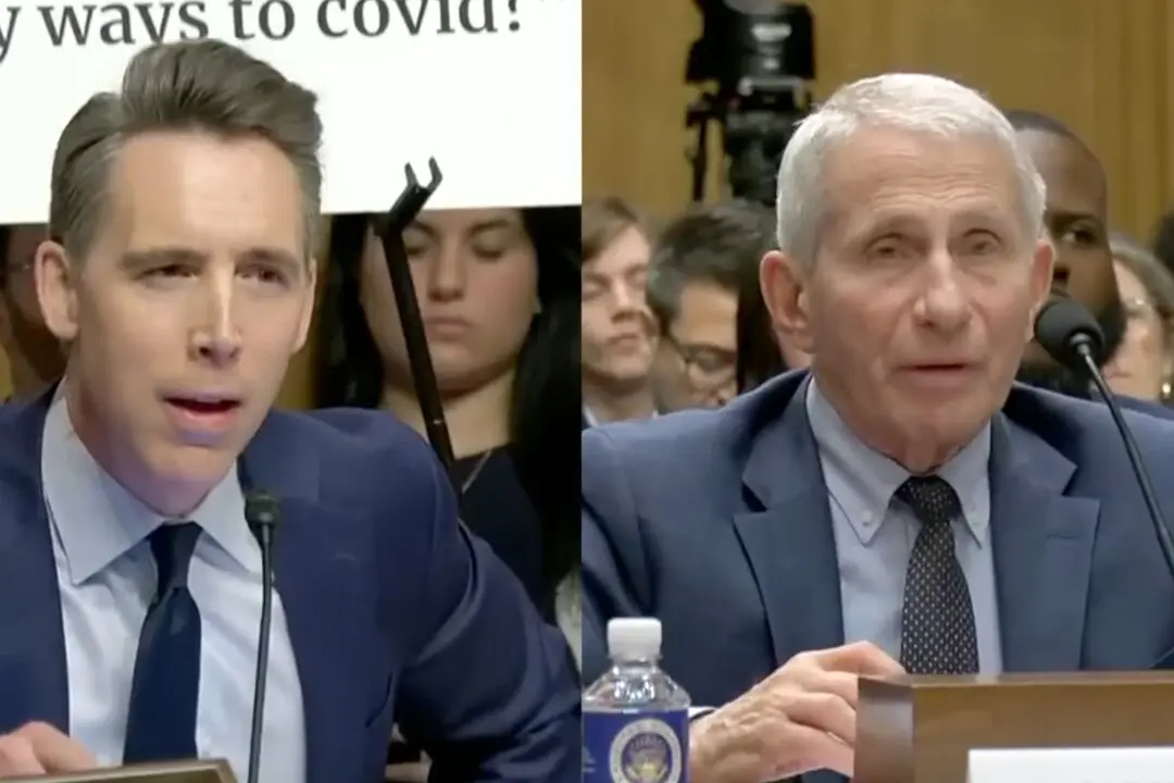 Hawley Rips Fauci: ‘You Got Rich, People Died’