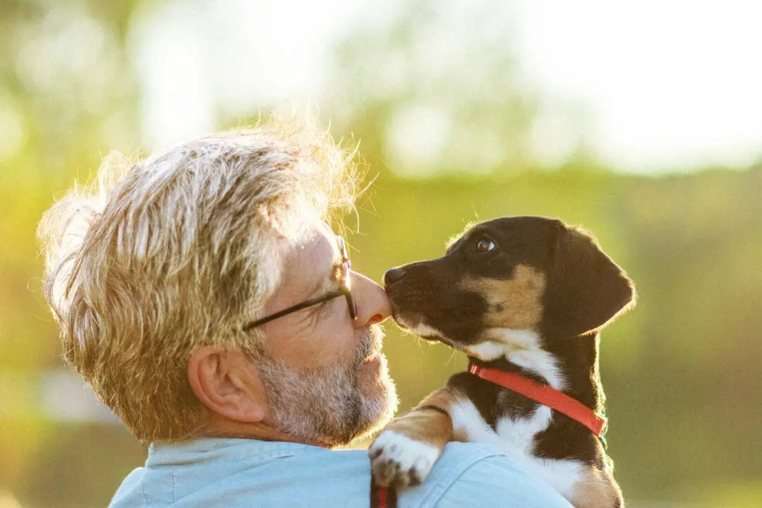 Can Pets Help Keep Your Brain Young? What the Research Shows