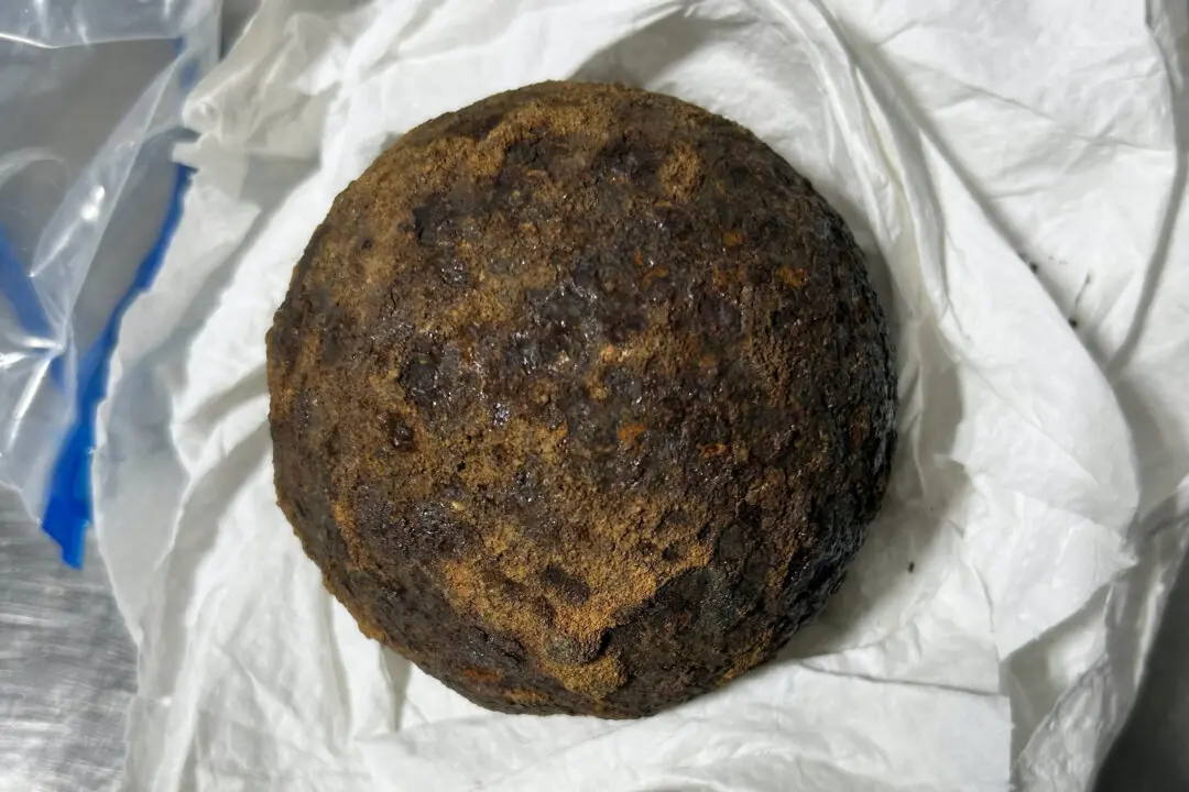 TSA Finds Stolen Civil War-Era Cannonballs in Passenger’s Suitcase at Alabama Airport